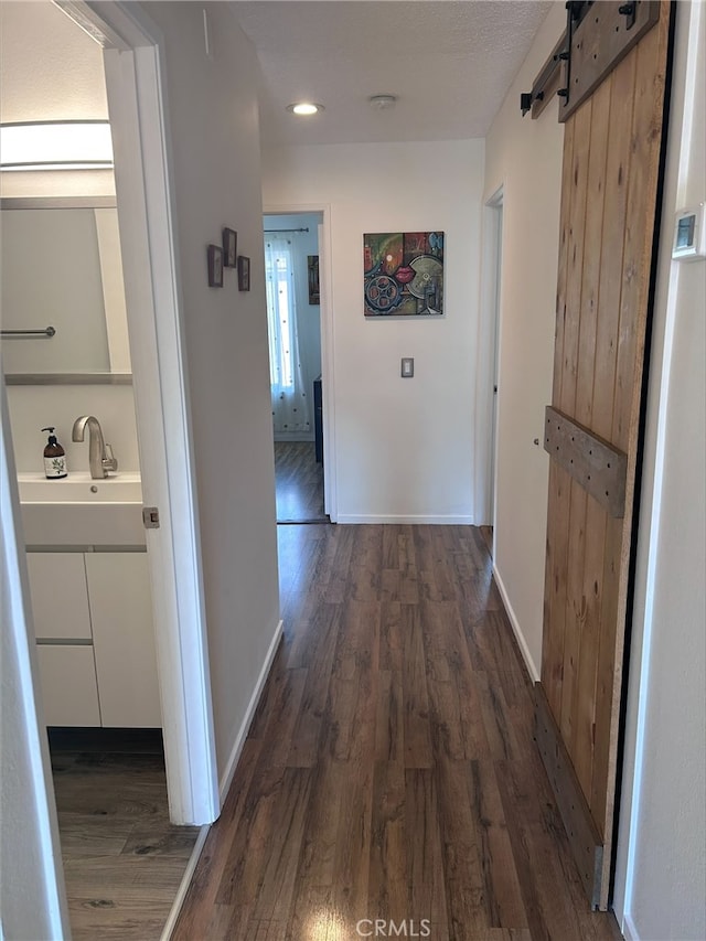 hall with sink, dark hardwood / wood-style floors, and a barn door