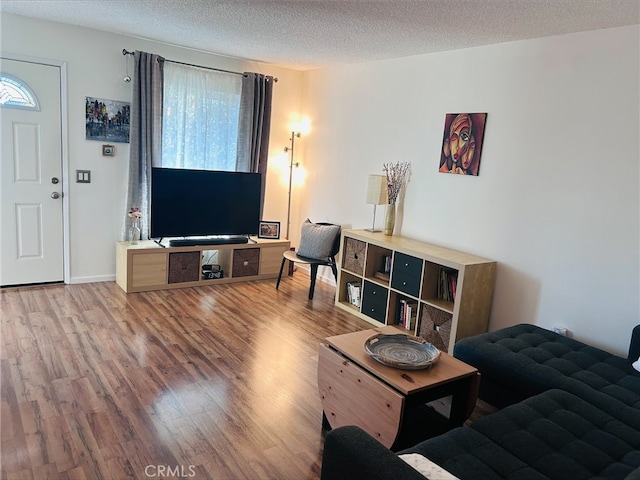 living room featuring wood-type flooring and a textured ceiling