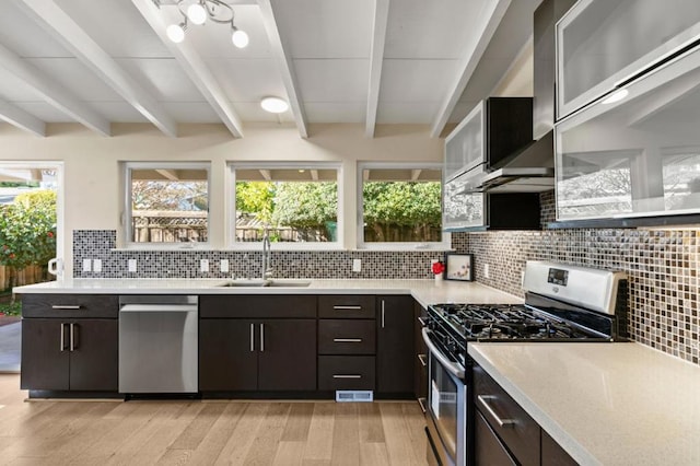 kitchen featuring a healthy amount of sunlight, stainless steel appliances, sink, and dark brown cabinets