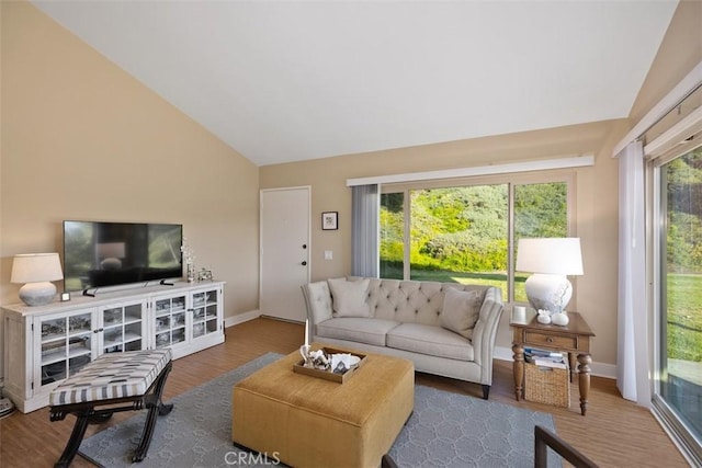 living room featuring vaulted ceiling and dark wood-type flooring