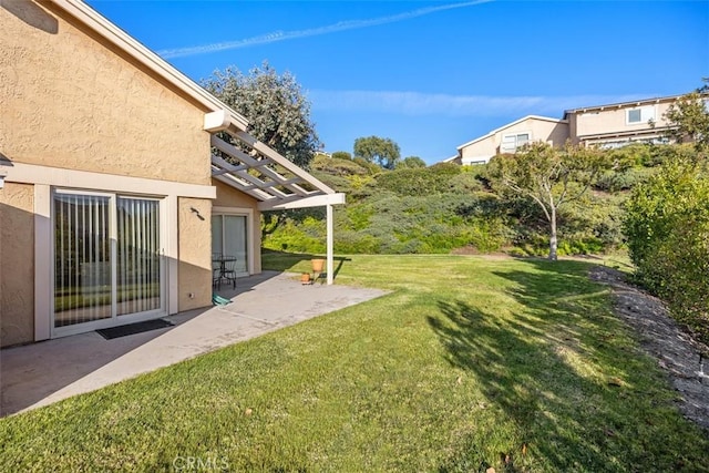 view of yard featuring a patio area