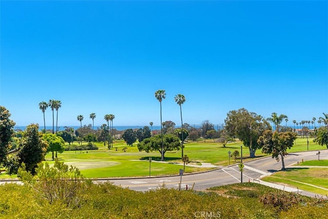 view of home's community with a yard