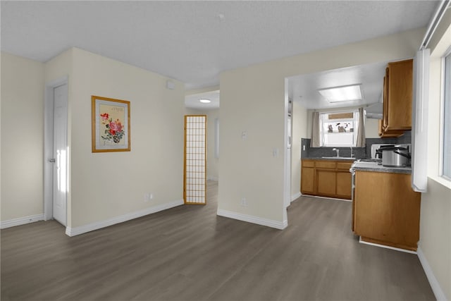 kitchen with dark hardwood / wood-style floors and sink