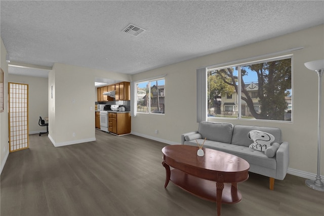 living room featuring hardwood / wood-style floors and a textured ceiling