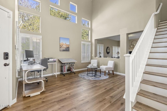 entrance foyer featuring wood-type flooring and a high ceiling