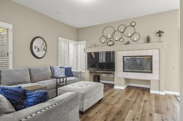 living room featuring light hardwood / wood-style floors