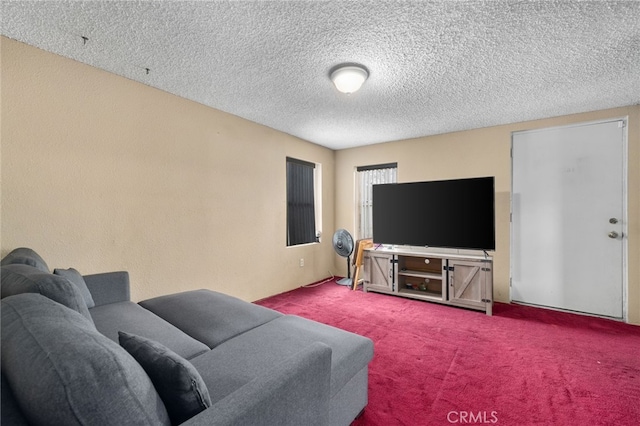 carpeted living room featuring a textured ceiling