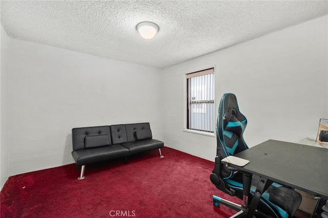 office featuring carpet and a textured ceiling