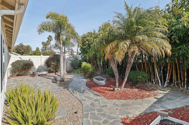 view of yard featuring a patio