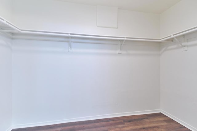 spacious closet featuring dark hardwood / wood-style flooring