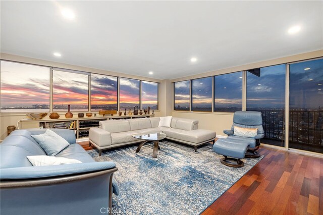 living room featuring dark hardwood / wood-style floors