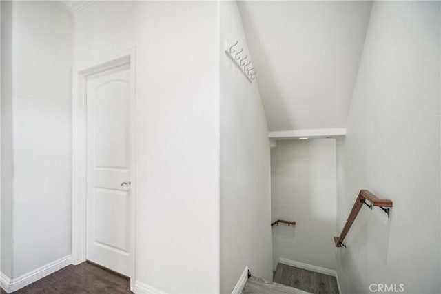 stairs featuring wood-type flooring