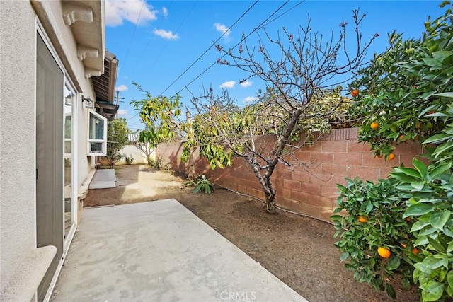 view of yard with a patio