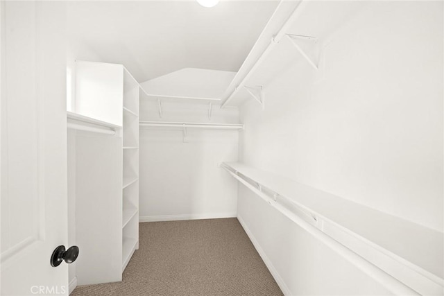 spacious closet featuring vaulted ceiling and light colored carpet