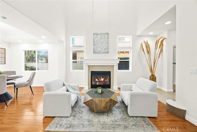 living room with hardwood / wood-style flooring and a towering ceiling