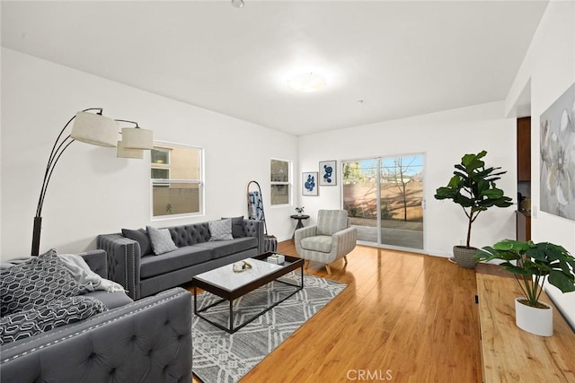 living room featuring hardwood / wood-style flooring