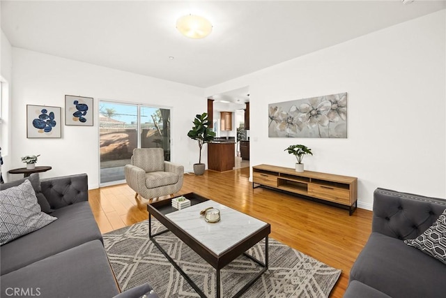 living room featuring wood-type flooring