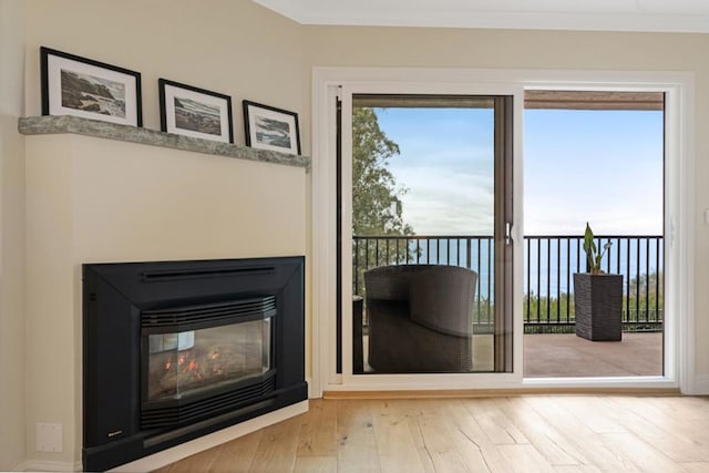 doorway with crown molding and hardwood / wood-style floors