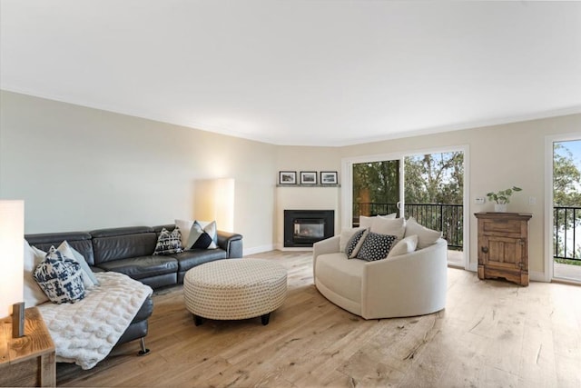 living room featuring crown molding and light wood-type flooring