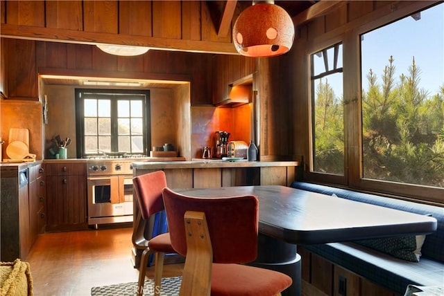 kitchen with tasteful backsplash, double oven range, light wood-type flooring, and plenty of natural light