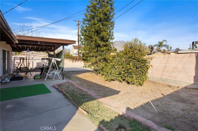 view of yard featuring a patio area