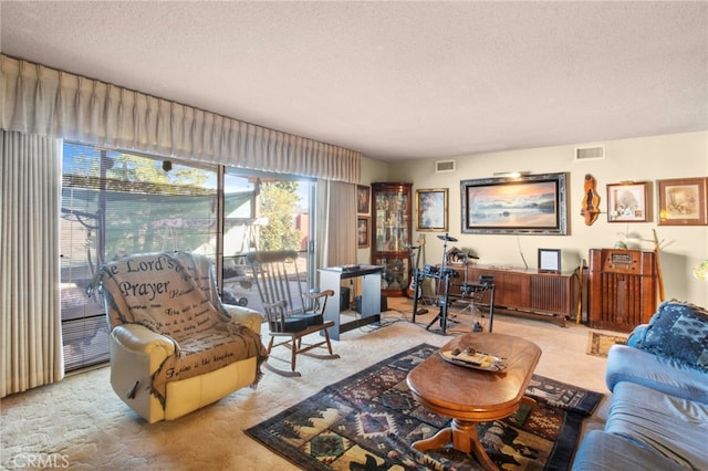 carpeted living room featuring a textured ceiling