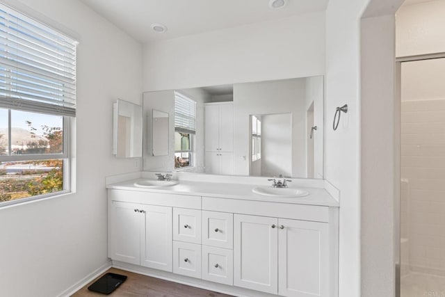 bathroom featuring hardwood / wood-style floors and vanity