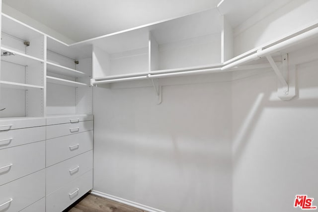 spacious closet featuring dark hardwood / wood-style flooring