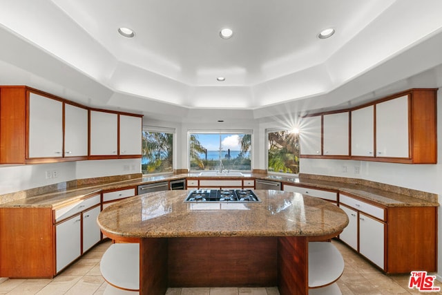 kitchen with a raised ceiling, white cabinetry, a kitchen island, and appliances with stainless steel finishes