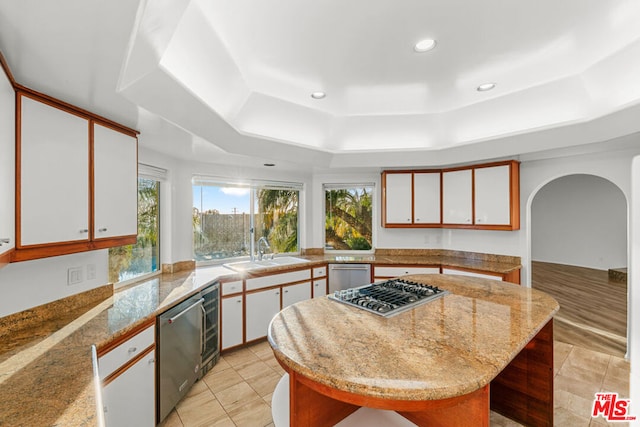 kitchen featuring appliances with stainless steel finishes, white cabinetry, sink, a center island, and a tray ceiling