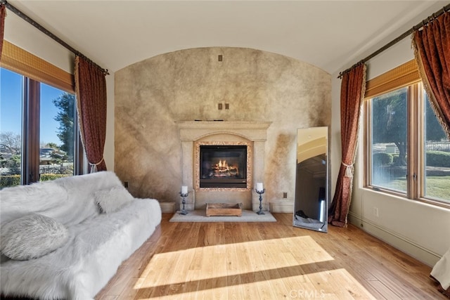 living area featuring lofted ceiling, light hardwood / wood-style flooring, and a premium fireplace