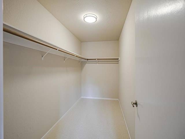 view of walk in closet