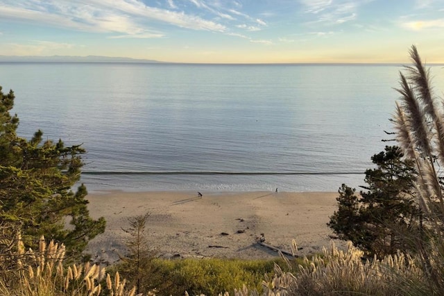 property view of water with a view of the beach