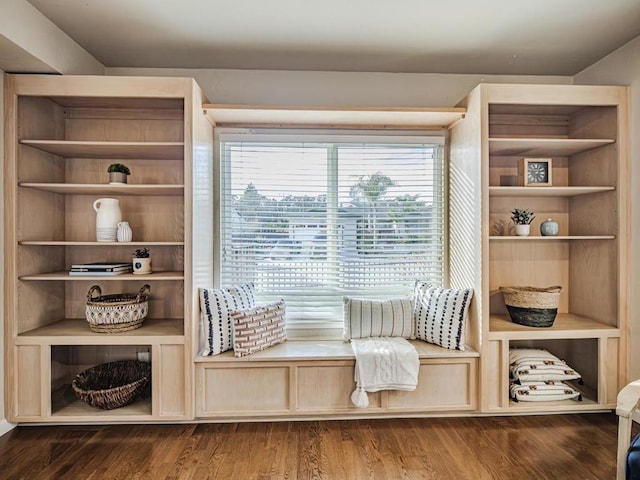 sitting room featuring dark hardwood / wood-style flooring