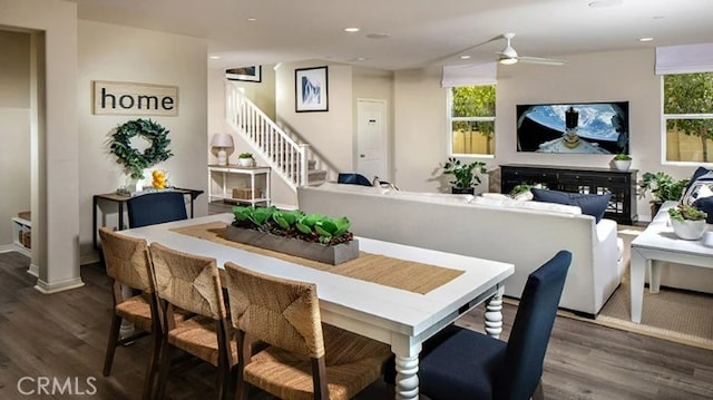 dining area with ceiling fan and dark hardwood / wood-style flooring