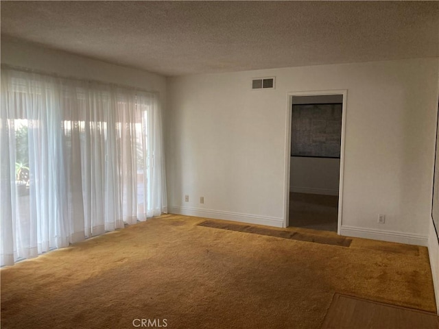 spare room with carpet floors and a textured ceiling