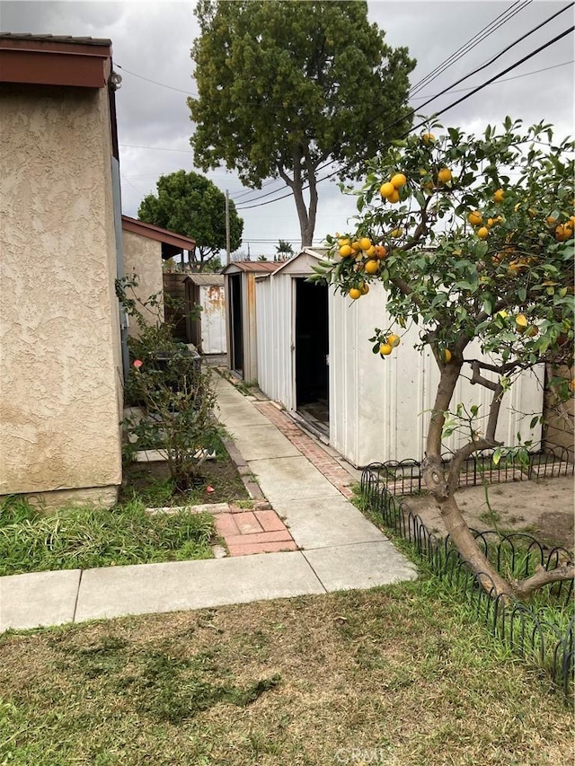 view of yard featuring a shed