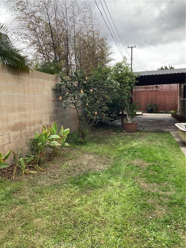 view of yard featuring a patio