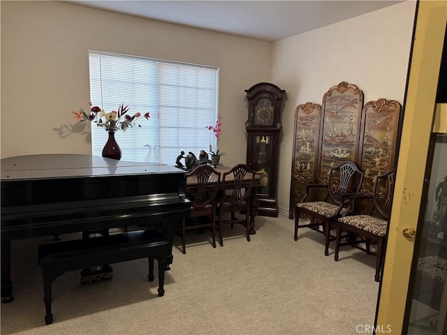 living area featuring light colored carpet