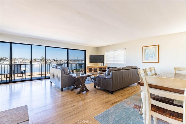 living room with light wood-style floors