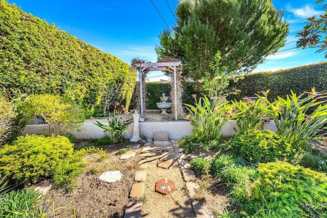 6130 Terryhill Dr, La Jolla, CA 92037 - view of yard