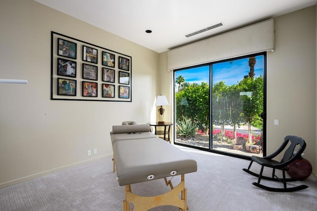 living area with carpet flooring