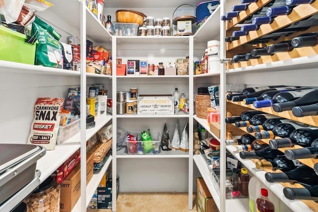 view of pantry