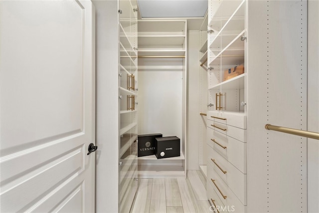 view of walk in closet