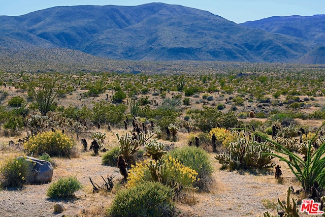 view of mountain feature