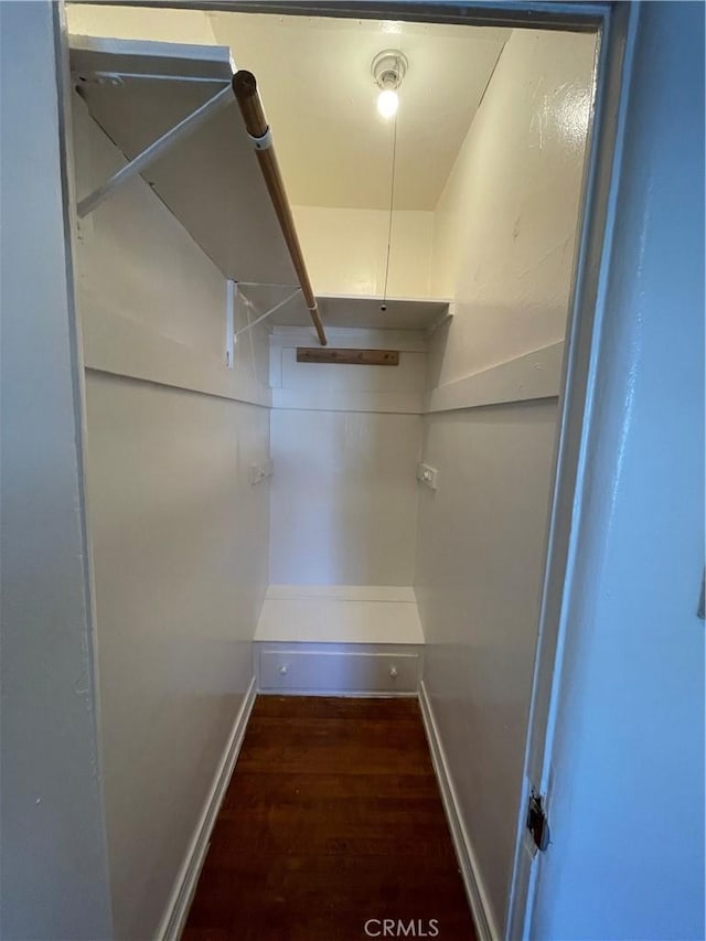 walk in closet featuring dark hardwood / wood-style floors