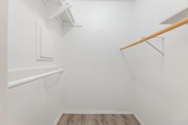 spacious closet with light hardwood / wood-style floors