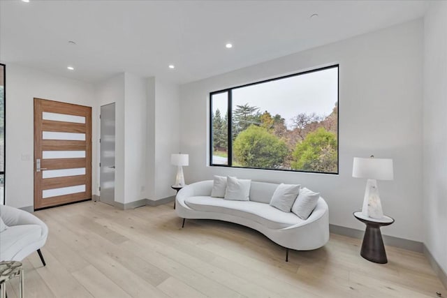 living room with light hardwood / wood-style flooring