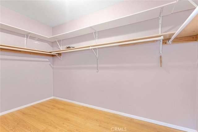 spacious closet featuring wood-type flooring