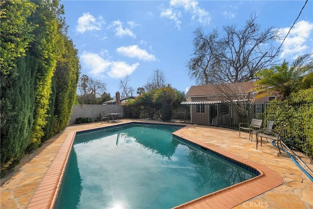 view of swimming pool featuring a patio